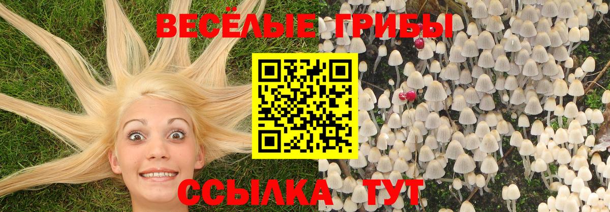 Псилоцибиновые грибы прущие грибы Янаул