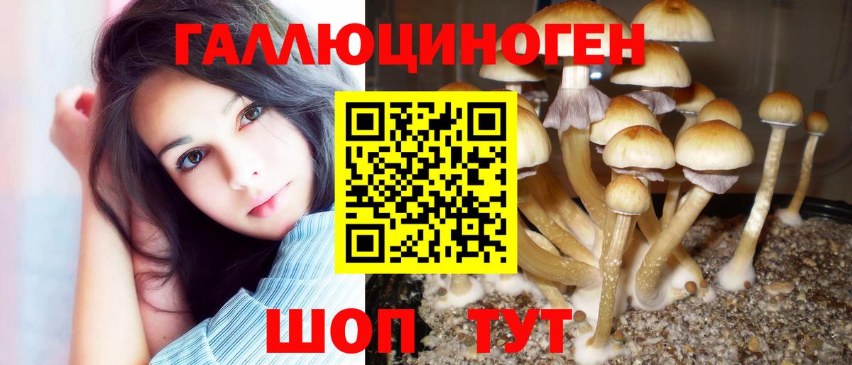 Галлюциногенные грибы Magic Shrooms  Галлюциногенные грибы мухоморы  Вход с VPN  Янаул 